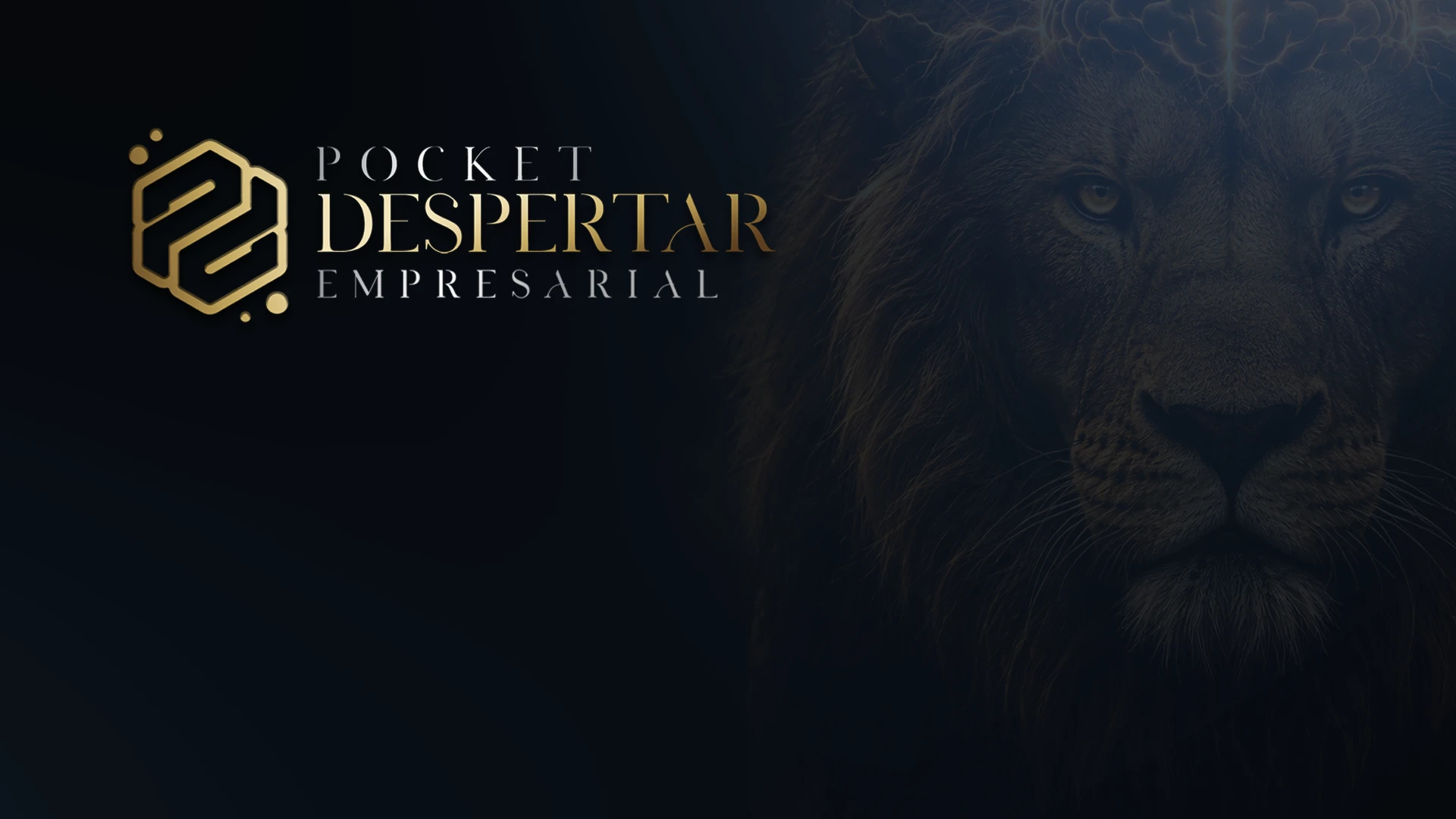 Pocket Despertar Empresarial